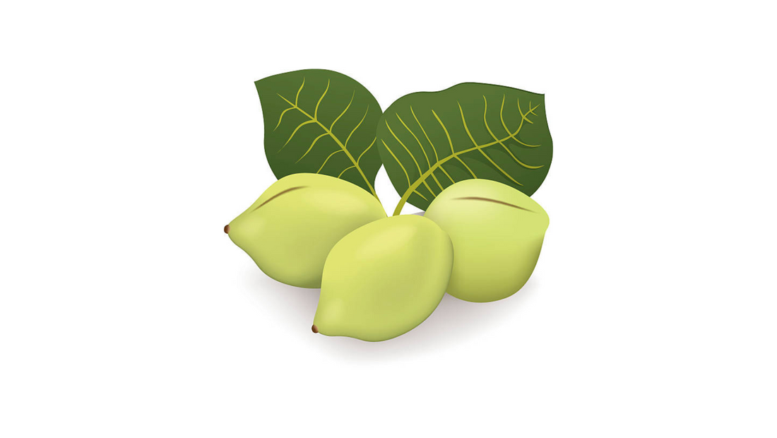 Kakadu Plums: The Secret Ingredient Used by Leafon Skincare Brand